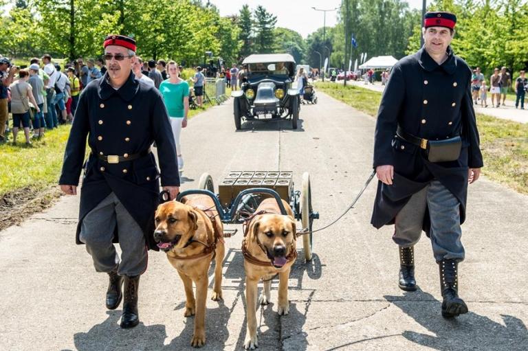 Des infanteristes avec des chiens mitrailleurs.